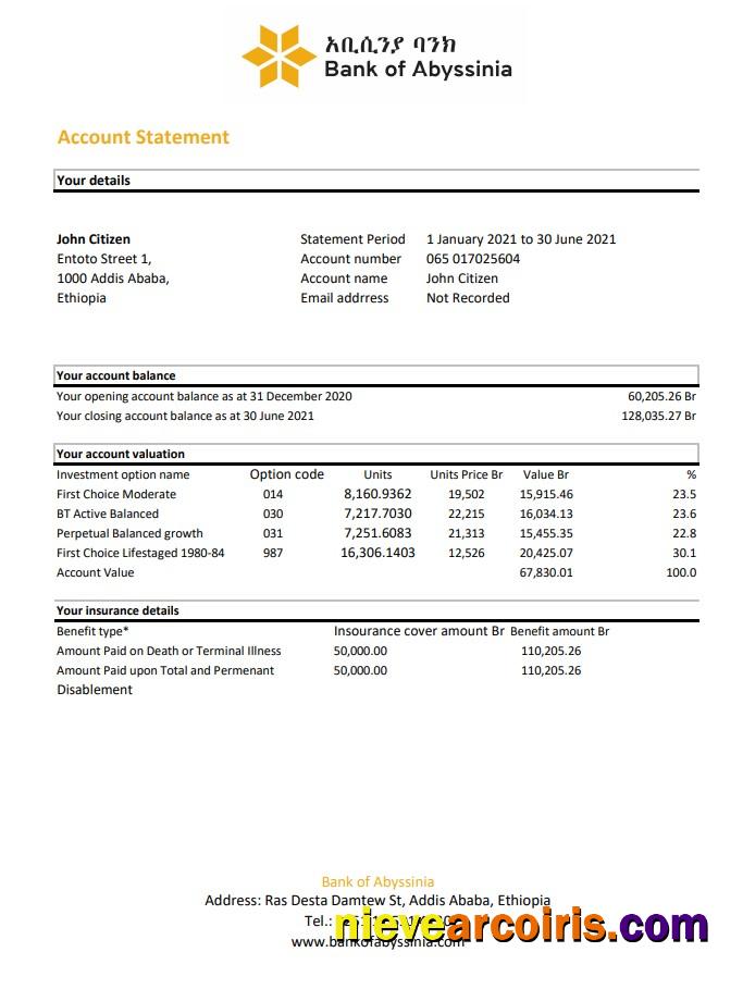 Ethiopia Bank of Abyssinia bank statement easy to fill in .xls and .pdf file format
